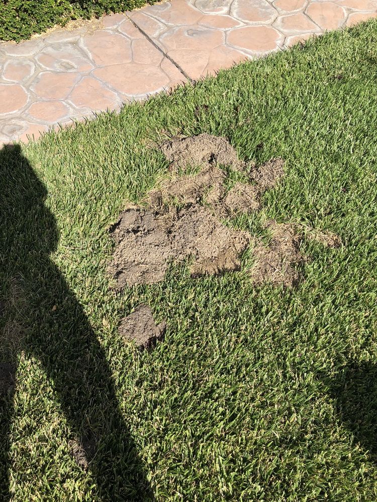 LANDSCAPE PEST CONTROL SERVICES Updated August 2024 5704 Hansen Dr