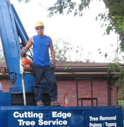 Cutting Edge Tree Service - tree service in Norfolk, VA
