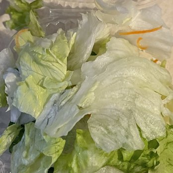 Sapporo East - Pile of iceberg lettuce was the salad - Sushi Bars Near Me - Virginia Beach, Virginia Sapporo East - Pile of iceberg lettuce was the salad - Sushi Bars Near Me - Virginia Beach, Virginia