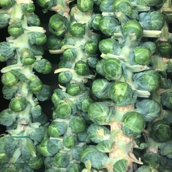 ALDI - Lol @ how they sell Brussels sprouts - Grocery Near Me - Miami, Florida