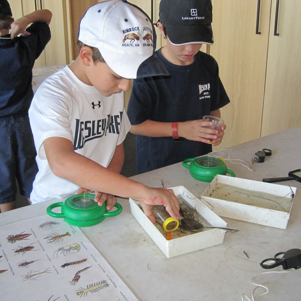 Trinity River Audubon Center - Boys examine the thing they found in the pond. - Parks Near Me - Dallas, Texas Trinity River Audubon Center - Boys examine the thing they found in the pond. - Parks Near Me - Dallas, Texas