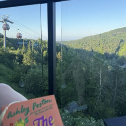 Eagle Ridge Resort At Lutsen Mountains - View from the room