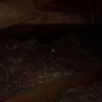 Attic Pros - After photo - Pest Control Near Me - Oakland, California