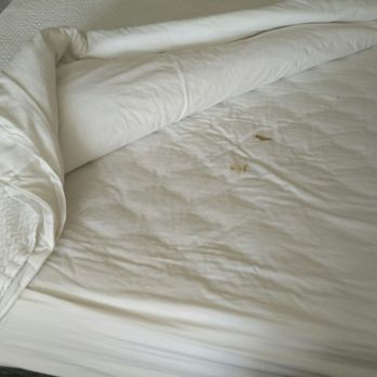 Courtyard by Marriott Paso Robles - Stained sheets had not been change from the previous guest. We also received a notice all mattresses were to be changed starting at 8:00 AM. - Hotels Near Me - Paso Robles, California Courtyard by Marriott Paso Robles - Stained sheets had not been change from the previous guest. We also received a notice all mattresses were to be changed starting at 8:00 AM. - Hotels Near Me - Paso Robles, California