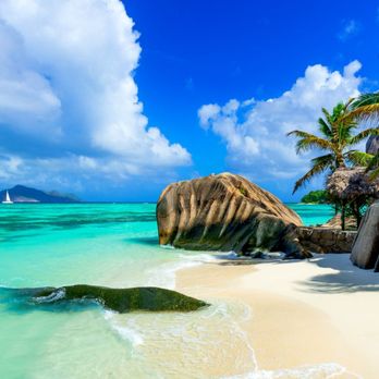 Travel Transparency - Travel Services Near Me - Oceanside, California Travel Transparency - Travel Services Near Me - Oceanside, California