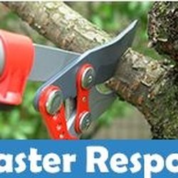 Arbor Pro's Tree Service