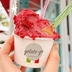 1803 Desserts - Winter Garden - Strawberry Sorbet
