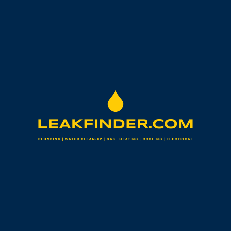 Slide of LeakFinder