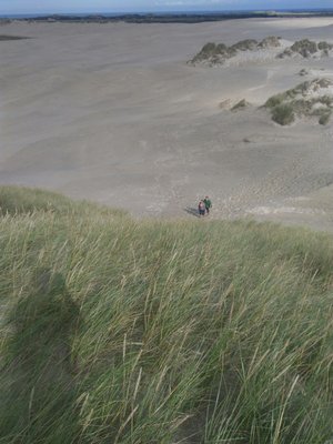 Råbjerg Mile by null