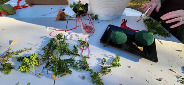 Lee-Fendall House Museum & Garden by null