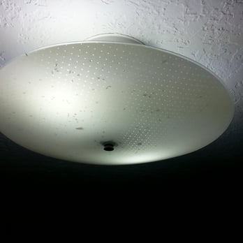 Home Hotel - Light full of dead bugs - Hotels Near Me - Lava Hot Springs, Idaho Home Hotel - Light full of dead bugs - Hotels Near Me - Lava Hot Springs, Idaho