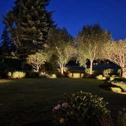 Outdoor Lighting Perspectives of North Sound - Backyard lighting to highlight trees