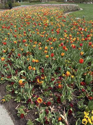 The Dallas Arboretum and Botanical Garden by null