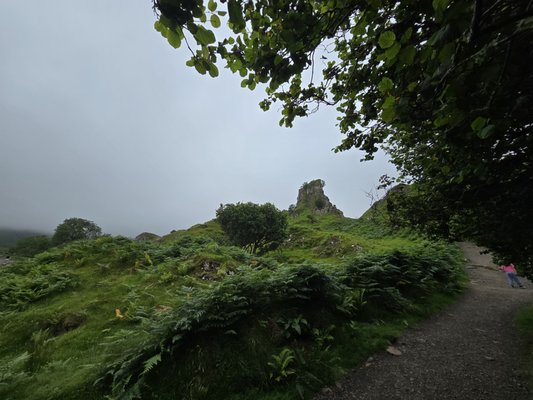 The Fairy Glen by null