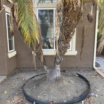 US Turf - Artificial Turf Near Me - San Diego, California