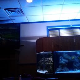 a fish tank and a television