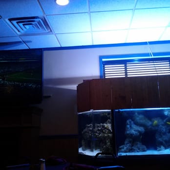 Ann's Chophouse - a fish tank and a television - Steakhouses Near Me - Bethel Park, Pennsylvania