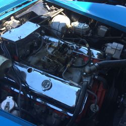 Williams Automotive