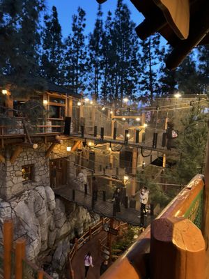 Redwood Creek Challenge Trail by null