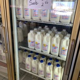 Sugar and no sugar soy milk (Dec 2024) Sugar and no sugar soy milk (Dec 2024)