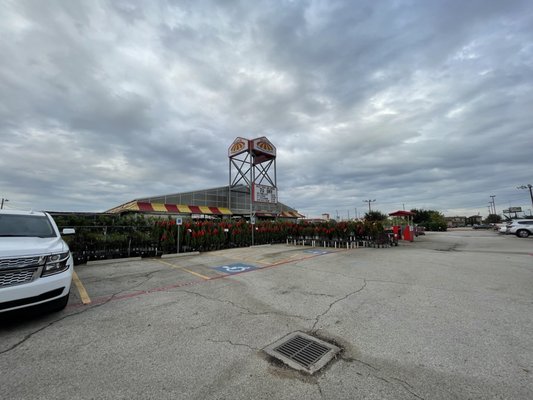 Houston Garden Centers 22 Photos 25 Reviews Nurseries Gardening 21530 Katy Fwy Katy Tx United States Phone Number Yelp