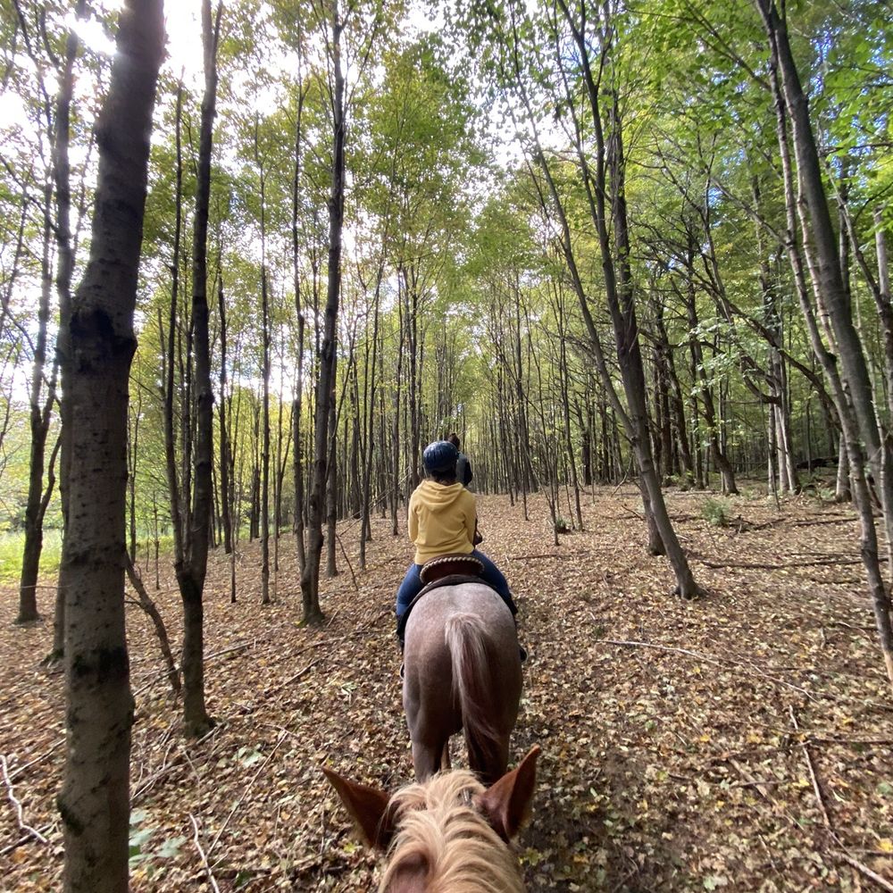 Chipman Stables - Horseback Riding Near Me - Danby, Vermont Chipman Stables - Horseback Riding Near Me - Danby, Vermont