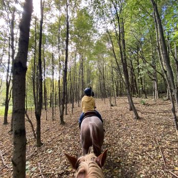Chipman Stables - A person wearing a yellow hoodie and helmet rides a horse through a dense forest trail, with the photo taken from behind the horse's head. The trail is covered with fallen leaves, and tall, slender trees with green foliage surround the path. The scene captures a horseback riding experience in a natural, wooded environment. - Horseback Riding Near Me - Danby, Vermont