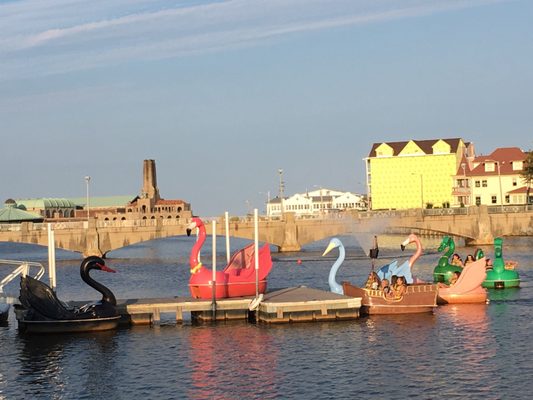 Asbury Park Pedal Boats by null