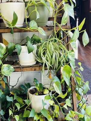 Take Two Cafe by null