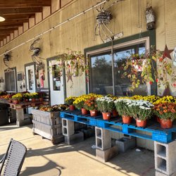 Buckland Farm Market - Entrance