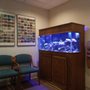 Warren F Biel, DDS