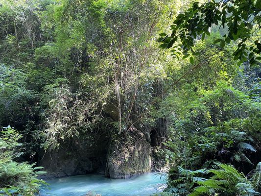 Kawasan Falls by null