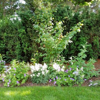 Mcdermott Landscapes - Landscape Architects or Designers Near Me Mcdermott Landscapes - Landscape Architects or Designers Near Me