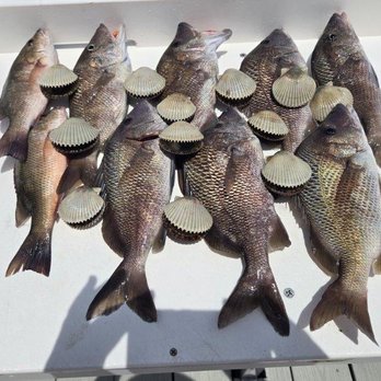 Crystal River Florida Fishing Adventures - Fishing Near Me - Crystal River, Florida