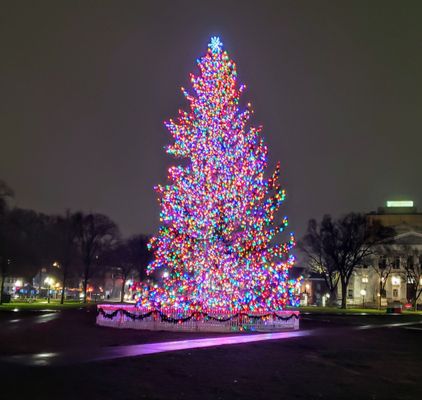New Haven Green by null