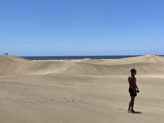 Dunas de Maspalomas by null