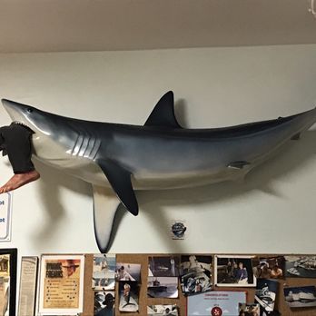 Fish Shack - Fun decor! - Seafood Near Me - Lighthouse Point, Florida Fish Shack - Fun decor! - Seafood Near Me - Lighthouse Point, Florida
