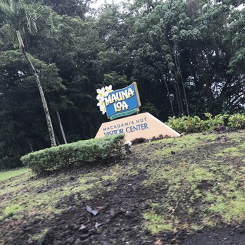 Mauna Loa Macadamia Nut - Chocolatiers & Shops Near Me - Keaau, Hawaii