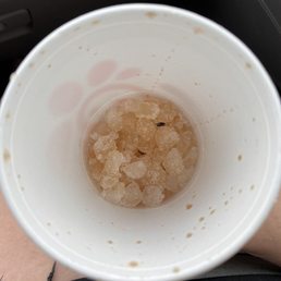 Fly in my cup