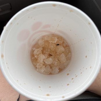Chick-fil-A - Fly in my cup - Fast Food Near Me - Lawrence, Kansas