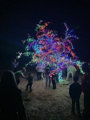 HEARTLAND NURSERY - Updated March 2026 - 15 Photos & 56 Reviews - 10300