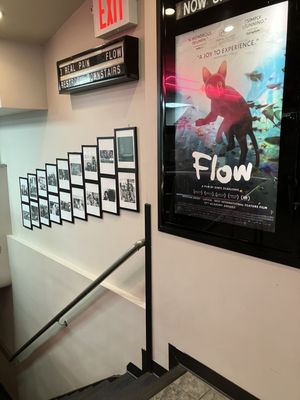 Cinema Village by null