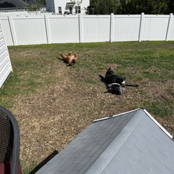 Superior Fence and Deck Designs - Fence 2