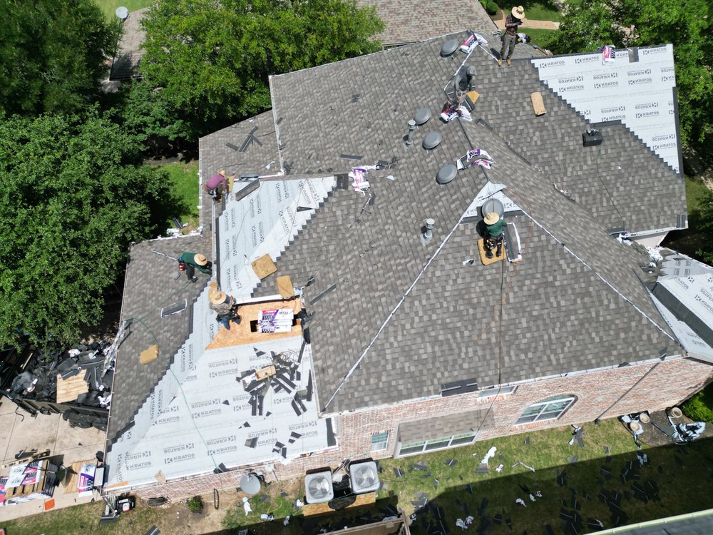 Slide of Beyond Shingles