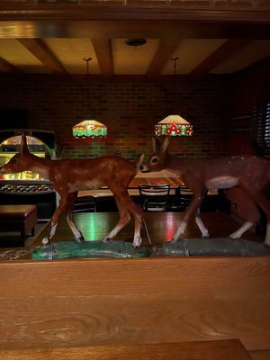 Bronx Bar by null