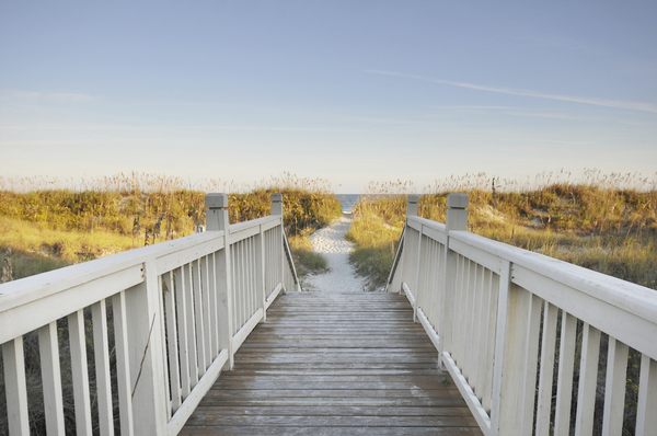 Palmetto Dunes Oceanfront Resort by null