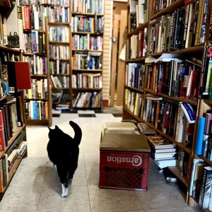 Twice Sold Tales on Yelp