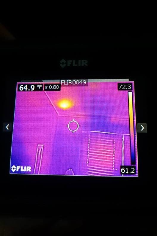 PEST ANIMAL REMOVAL COLORADO SPRINGS Updated July 2024 51 Photos