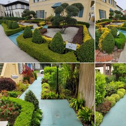 Beverly Hills CA (Front Yard)