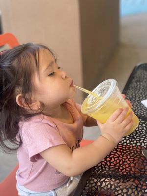 El Tiz Tizoncito Forest by null